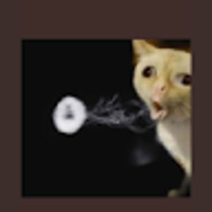 Meet your Posher, Wolfie